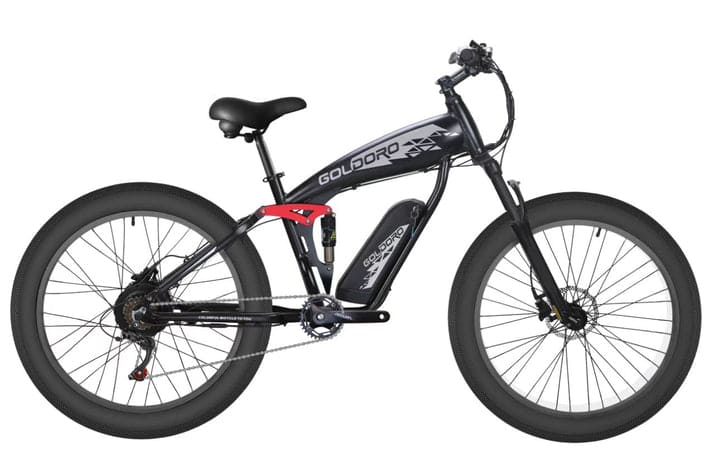 Goldoro E-Bike X8