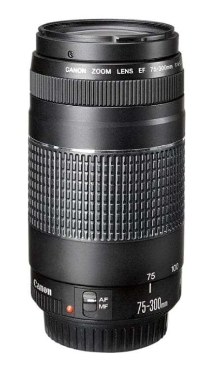 Canon EF 75-300mm f/4-5.6 lll